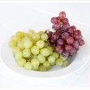 반송동물병원 이미지