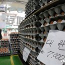 박정호농장(1농장) 이미지