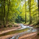 군산월명종합경기장실내체육관 | 군산벚꽃 월명 - 군산벚꽃 3경, 은파호 공원 월명공원, 월명체육관