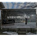 소백산당골민박 | 폭설 경보 내린 강원도 태백산민박촌 겨울 숙박 후기