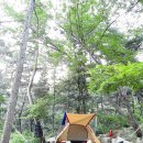 화왕산자연휴양림 네이버블로그