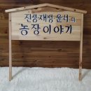 주니농장 이미지