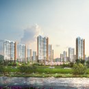 도안982