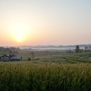 정기목장 이미지