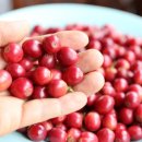 범준농장 이미지