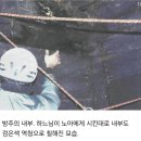 노아의 방주 이미지