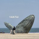 찐둬둬 중국식품 | 연태 호텔 / 크라운 플라자 옌타이 라운지 / 중국 연태 여행 2박 3일 코스 고덕지도