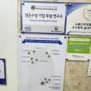 노블스위밍랩(경남대점) | 창원수영장 노블스위밍랩 프리미엄어린이전영 수영교육기관 !