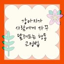 작은 친구 동물병원 이미지