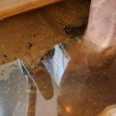 닥터존. 족욕 이미지