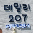 데일리 207 이미지
