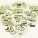 소나무 숲 리조트 | 곤지암리조트 화담숲 - 수목원 가을 산책!