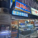 남광장대박수산 | 동탄 횟집 스끼다시 물회 맛집 반송동 남광장대박수산