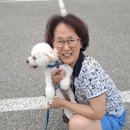 스테이화암리 네이버블로그