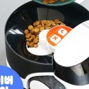 펫24