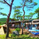 대천통나무소나무펜션 이미지