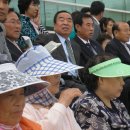 노나메기 이미지