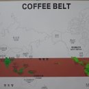 바리스타(야간) 이미지