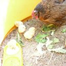 숲속나라어린이집 이미지