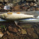 강천하루 이미지