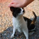 안녕, 애기 이미지