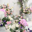 오스카호텔 이미지