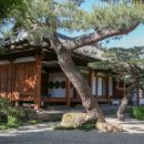 요석궁식당 이미지