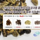 중의한의원 이미지