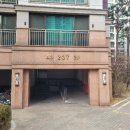 중앙동-04 이미지