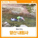 내원사계곡(내원사) | 양산 계곡 추천 여름 물놀이 명소 내원사 계곡 주차 취사 화장실