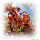 박달산 이미지