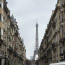 웰컴캐노피 | [review] 캐노피 바이 힐튼 파리 에펠탑(Canopy by Hilton Paris Eiffel Tower)|파리 에펠뷰 호텔 추천