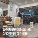 터틀콤