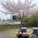 문라이트캠핑장 이미지