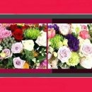 마이산 콘도 빌 이미지