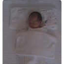 트리시아 산후조리원 | 하남 트리시아 산후조리원 후기