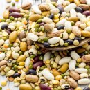 바디모어핏 이미지