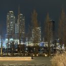 동탄호수공원 샌드위치 브런치 카페 :: 더힐846 동탄2 레이크꼬모 동탄 디저트 홍콩와플