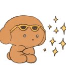 더엔비헤어 이미지