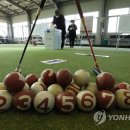 게이트볼장 이미지