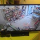 마이도그샵 이미지