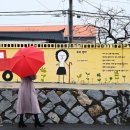 꽃가시나