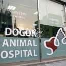 도곡종합동물병원 이미지