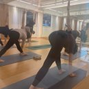 요가(오후반) 이미지