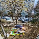 딸부잣집 이미지