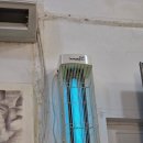 낙타 | 두바이 올드타운 로컬 하우스 레스토랑 낙타 고기 음식 후기