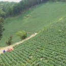 감로농장 이미지