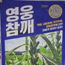 한농종묘사 네이버블로그