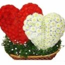 가정1-02-063 이미지