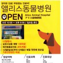 앨리스동물병원 이미지